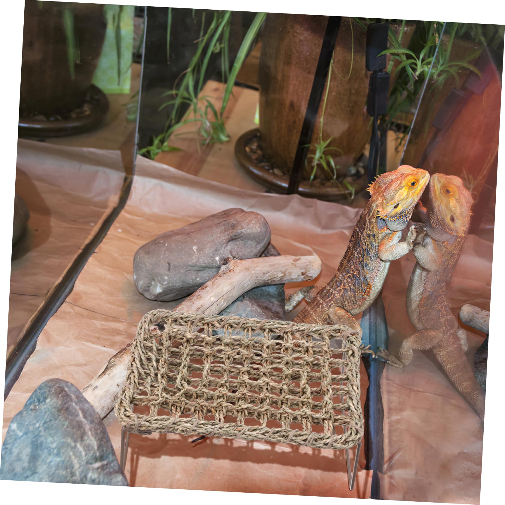 2piezas Hamaca De Tejida Hamaca para Reptiles Tumbona para Cama Colgante para Dragones Barbudos Accesorios para Acuarios De Reptiles para Terrarios y Hogares