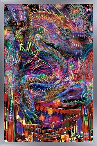 Trends International Jumbie - Dragon Wall Poster, 22.37" x 34.00", Silver Framed Version Trends International Jumbie - Dragon Wall Poster, 22.37" x 34.00", Silver Framed Version