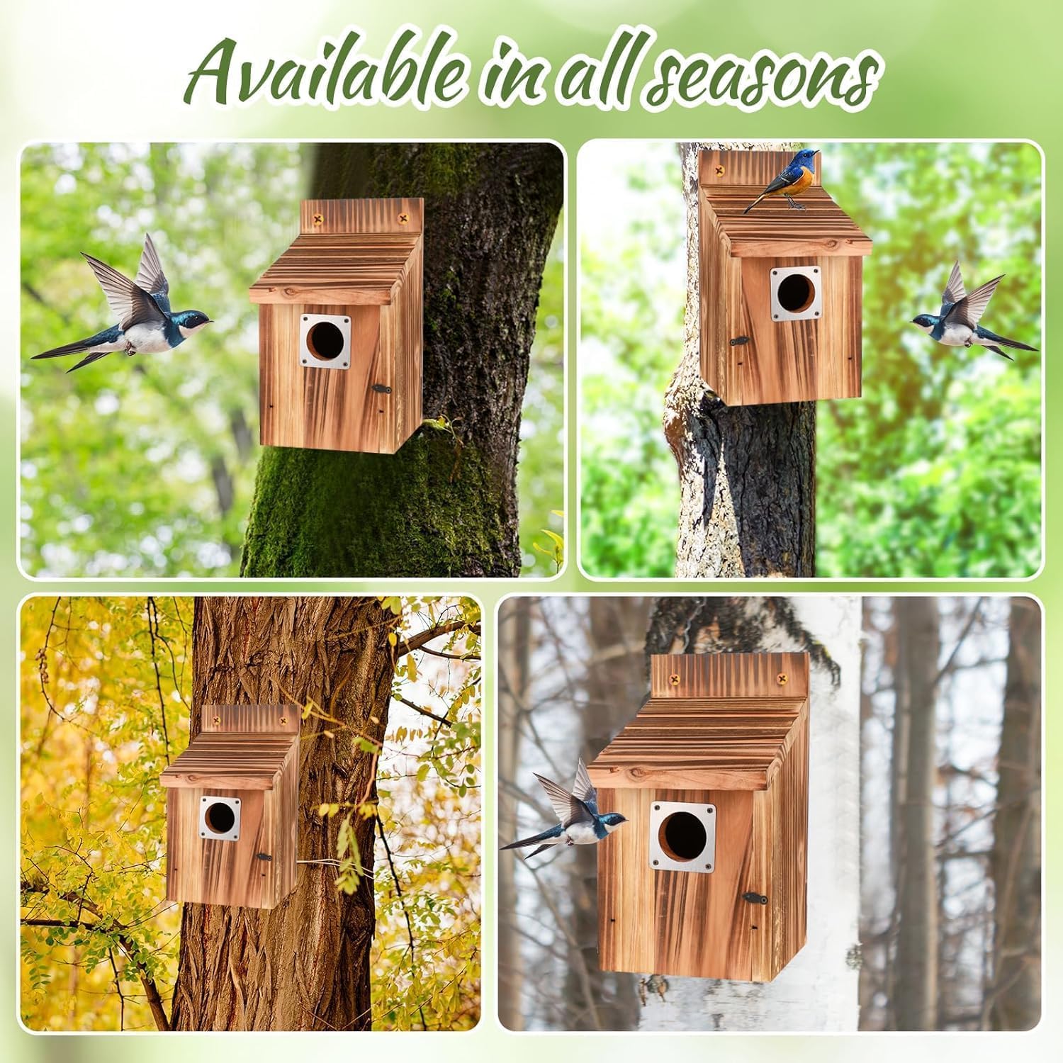 4 pièces Nichoir Oiseaux Exterieur, Maisons d'oiseaux avec protège-métalliques, serrures de sécurité, Fentes de vol & Ventilation, entrée de 3,8 cm