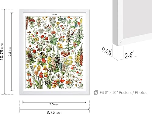 Miniatura 480 de Poster Master Póster vintage de orquídea, estampado de flores retro, arte de pared de plantas exóticas, arte botánico, regalo para hombres y