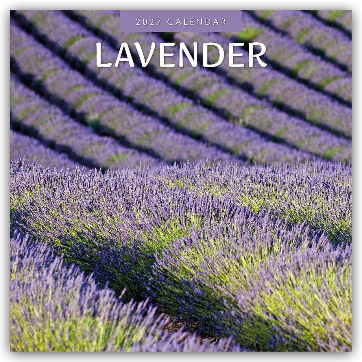 Lavender 2027 Square Wall Calendar: Original Red Robin Publishing Ltd-Kalender [Mehrsprachig] [Kalender]