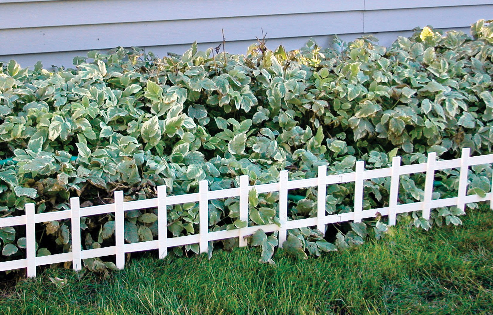 1' x 3' Cape Cod Fence [Set of 50]