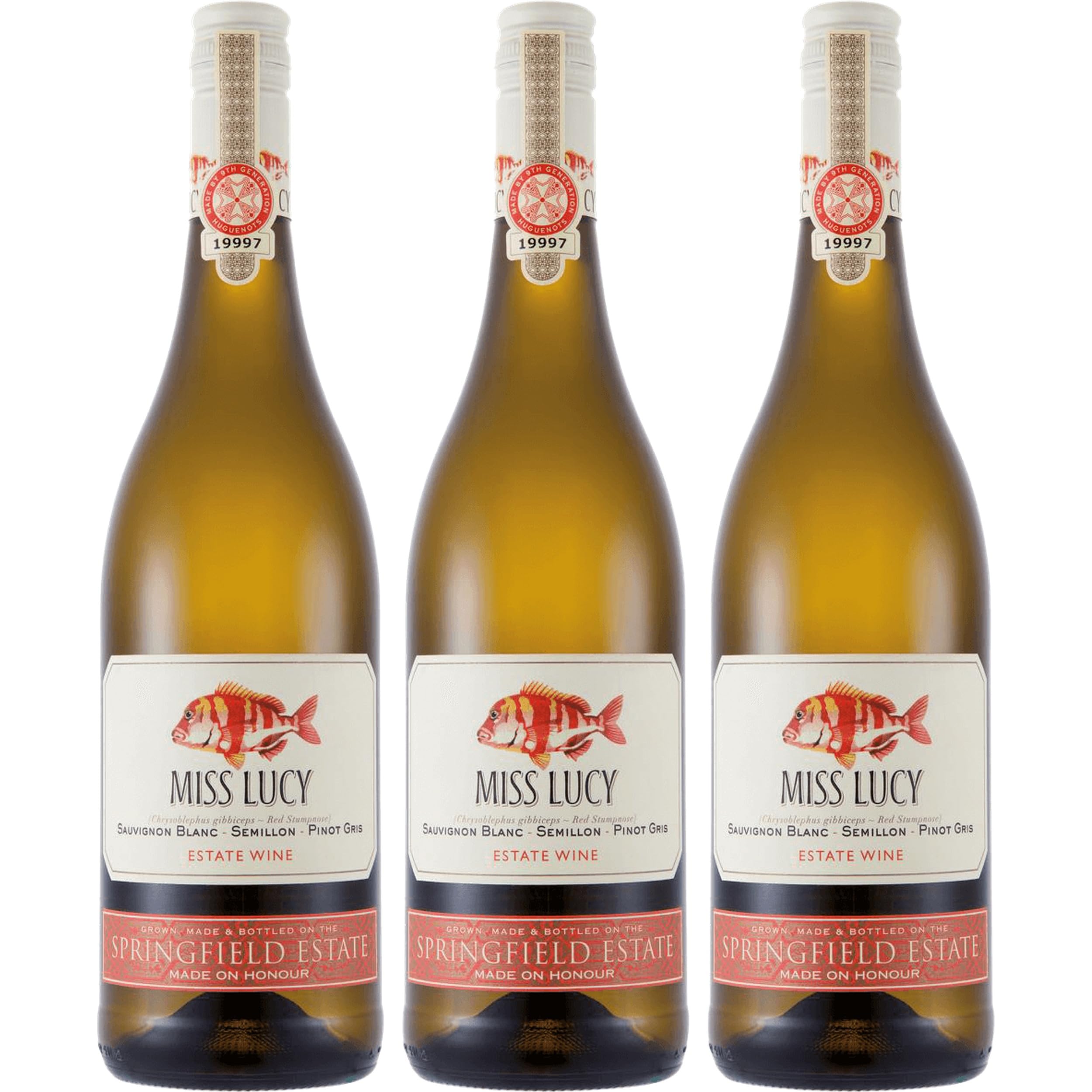 Springfield Estate Miss Lucy Sauvignon Blanc Sémillon Pinot Gris Weisswein weiss trocken Südafrika inkl. FeinWert E-Book (3 x 0.75 l)