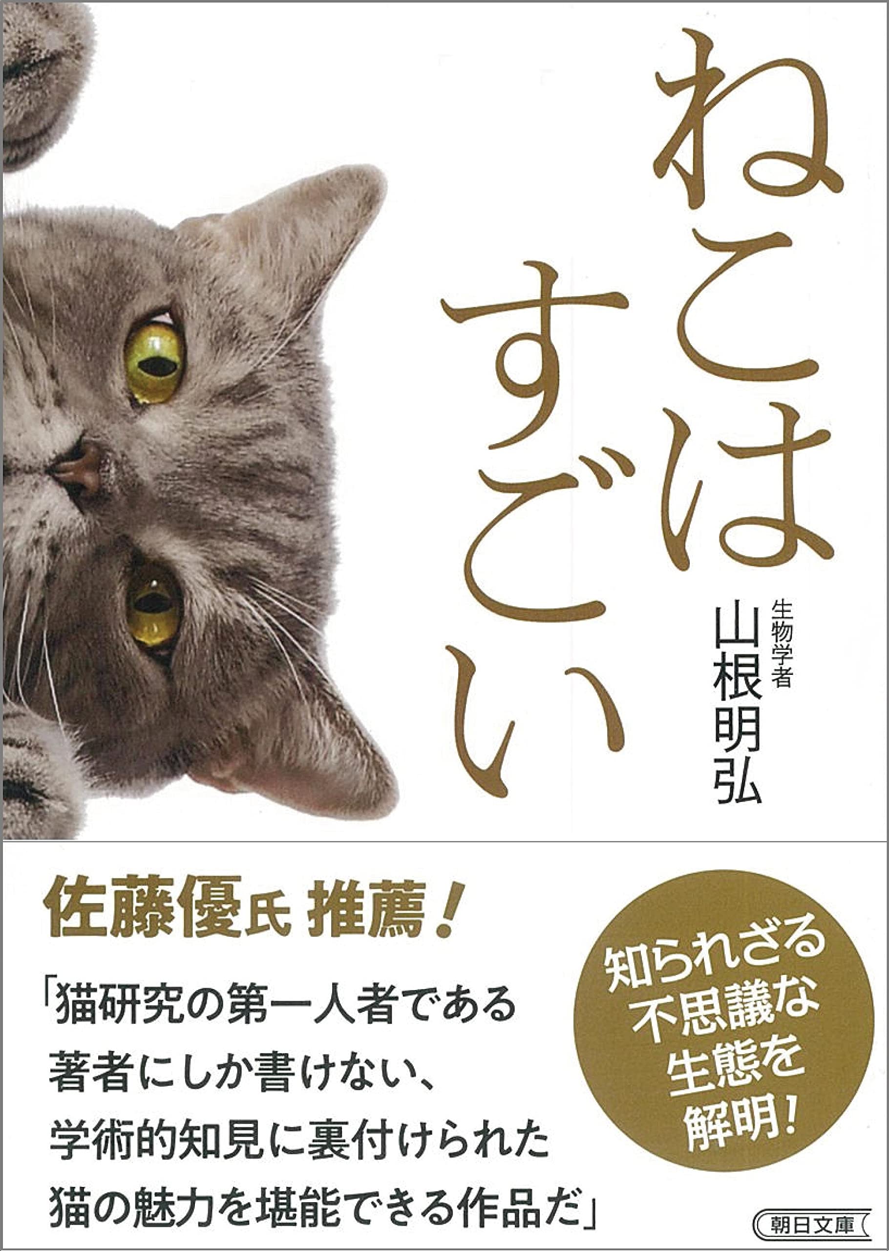 ねこはすごい 朝日文庫 山根 明弘 本 通販 Amazon