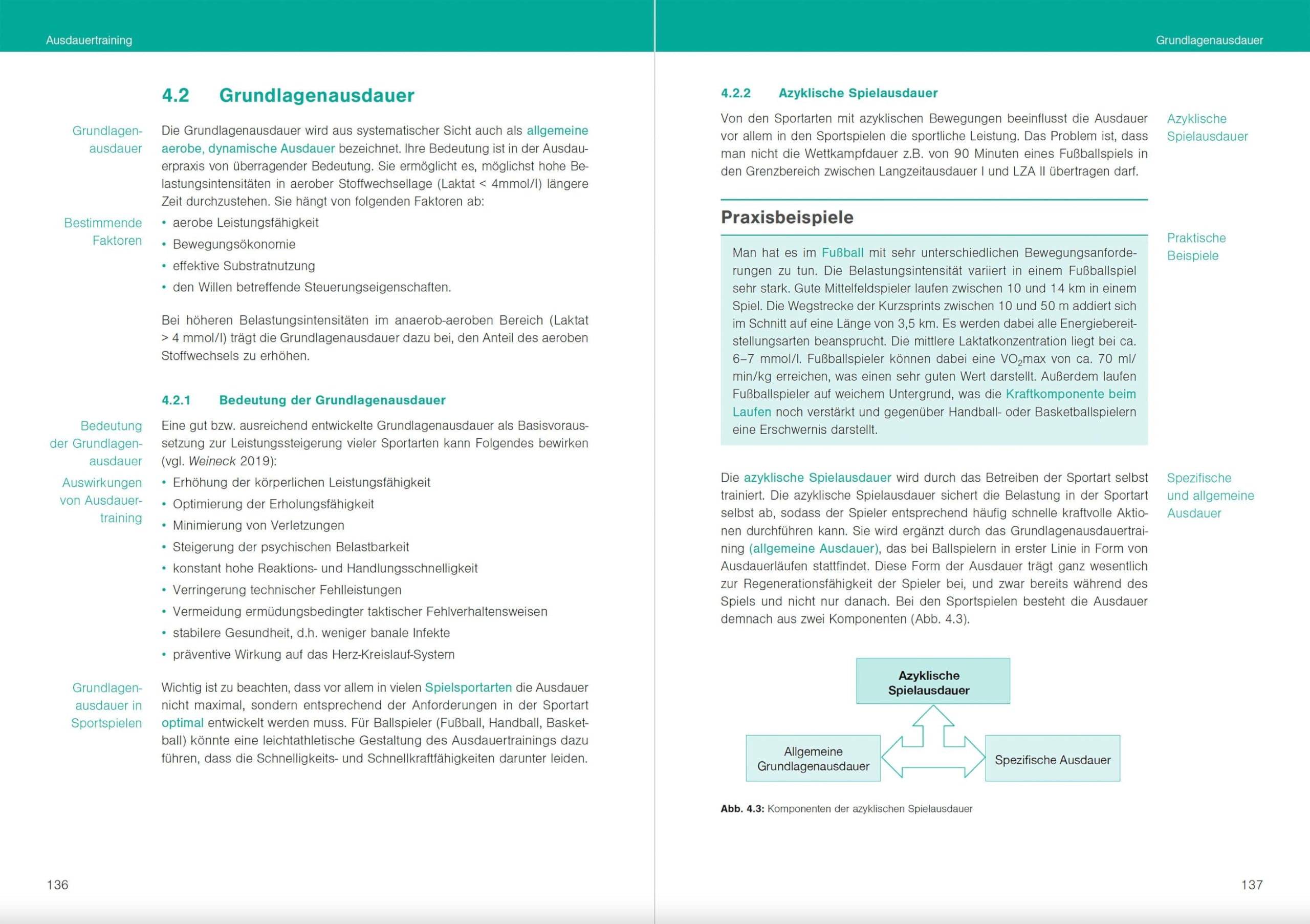Optimales Sportwissen: Grundlagen der Sporttheorie und Sportpraxis