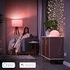 Smart socket for Philips Hue Hue light systems, smart socket to control lamps, voice control and compatible with application from anywhere, white [Energy Class G]