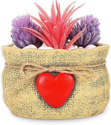 Whaline Macetas decorativas para el día de San Valentín con recipientes agujero de drenaje para interiores maceta de corazón vintage para decoración