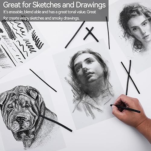 Miniatura 3 de PANDAFLY Palitos de carbón de sauce, suave, carbón de vid negro para artistas, principiantes, estudiantes, ideal para bocetos, dibujos, sombreado y