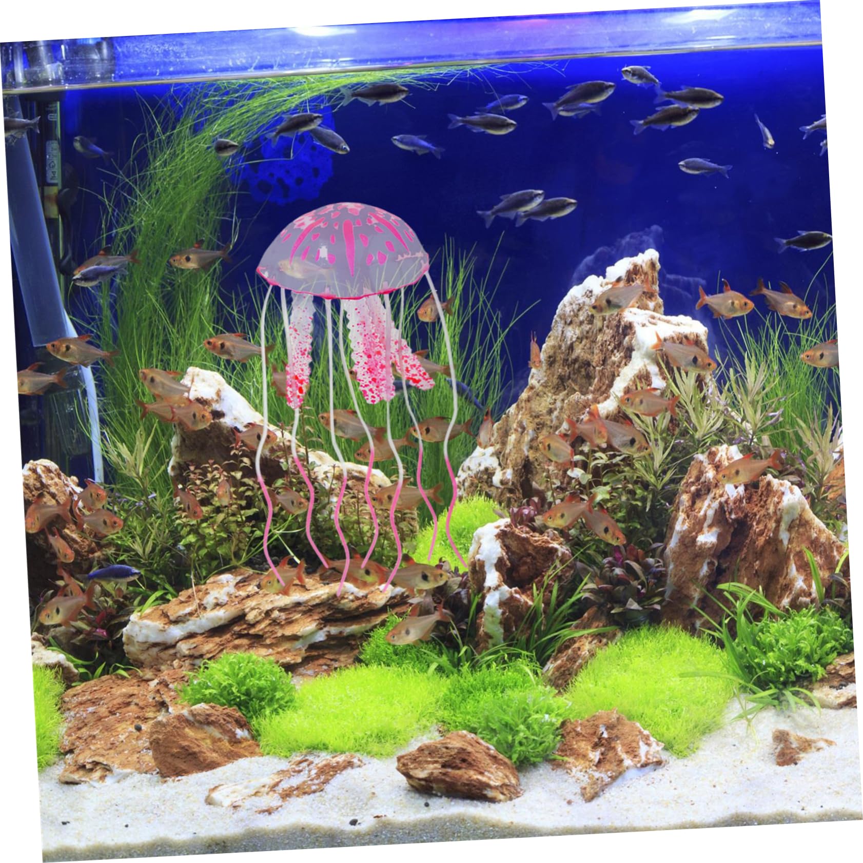 Amazon | PATKAW 3個 水族館の装飾 クラゲ アクアリウム 水槽の植物