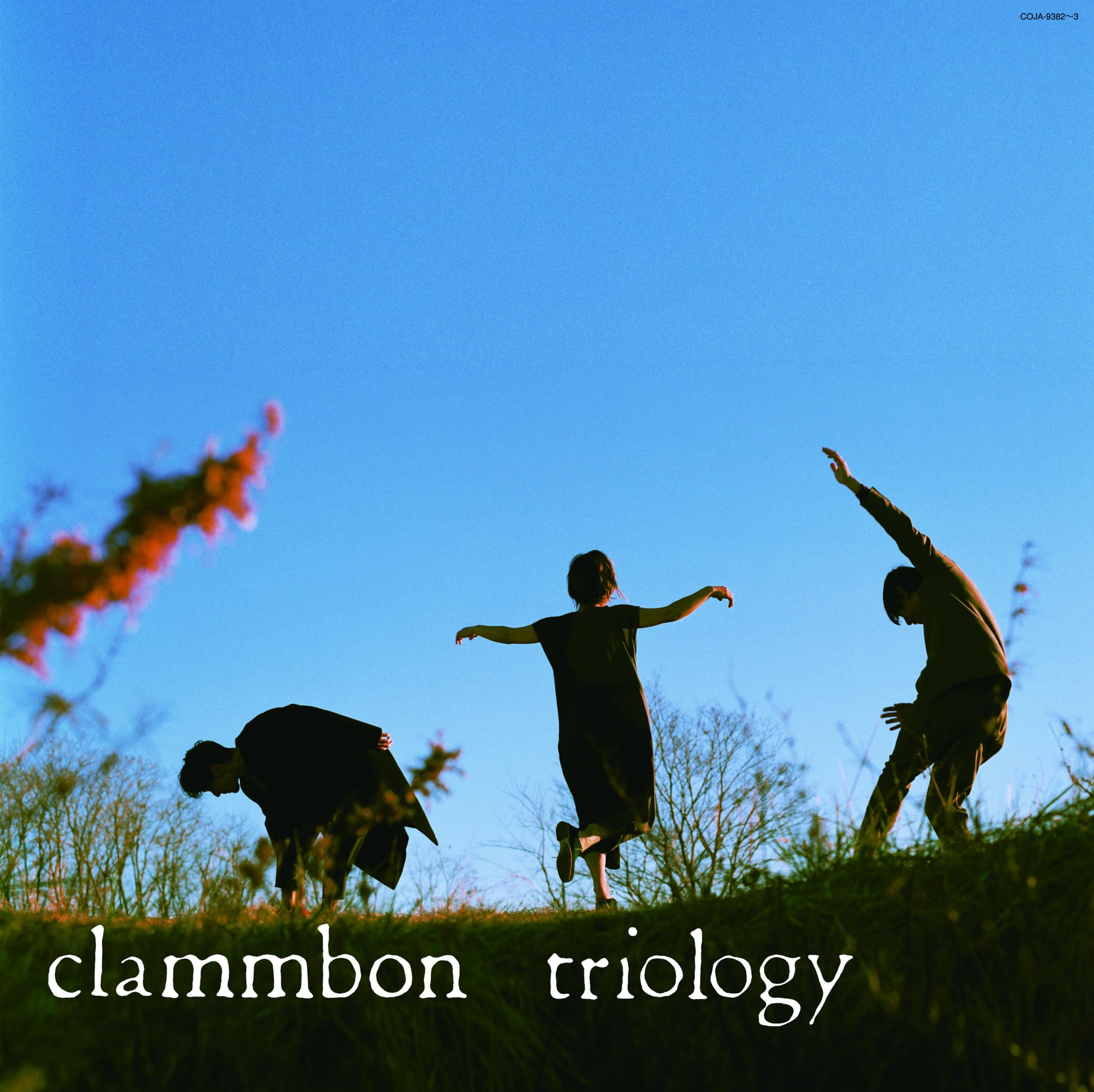 Amazon.co.jp: triology (2枚組アナログレコード) - クラムボン