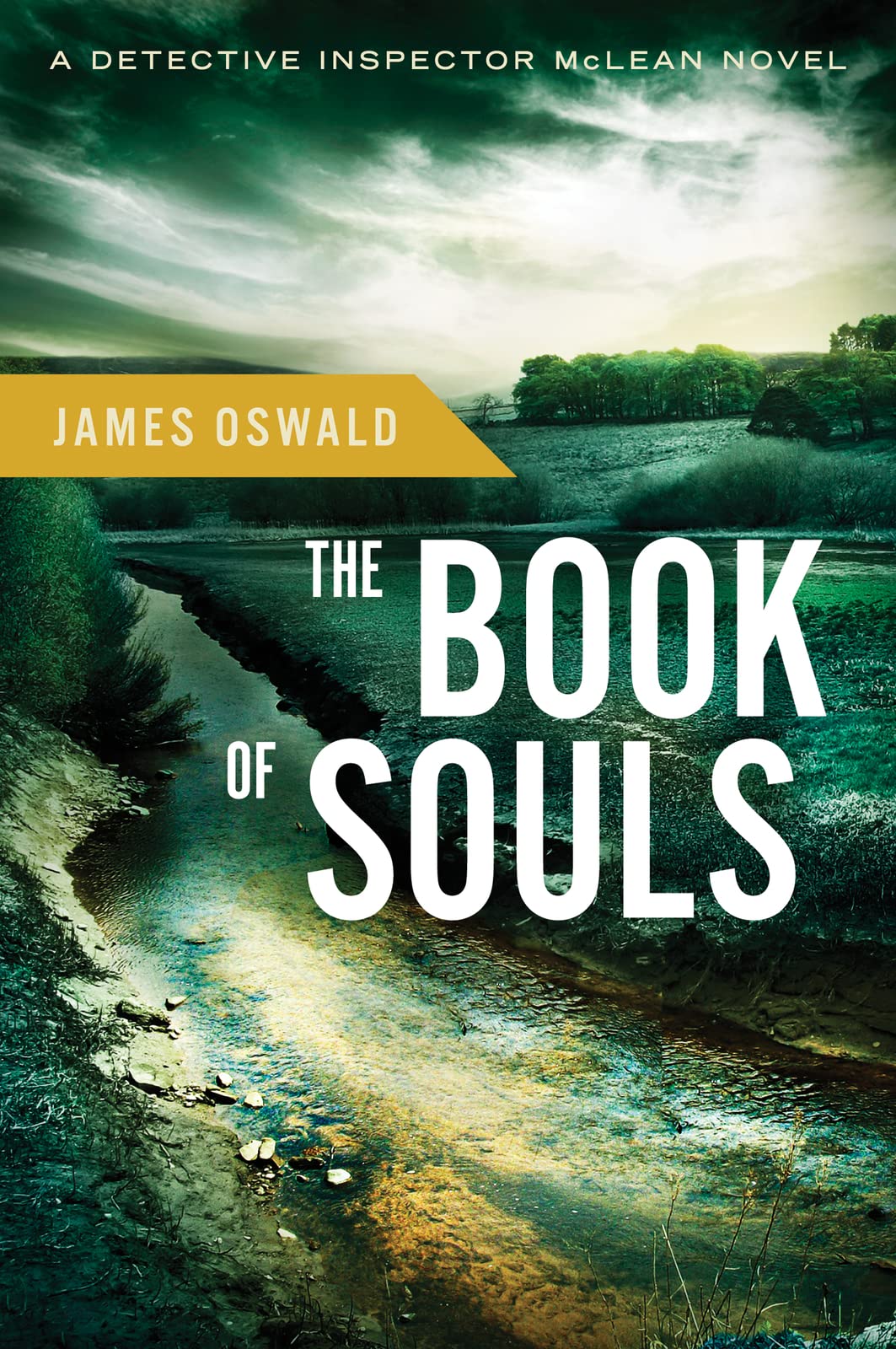 The Book of Souls: 2 (Detective Inspector MacLean)