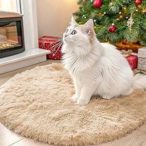 OLANLY Beige Round Rugs for Bedroom - Machine Washable, 2 ft Circle Area Rugs for Living Room, Soft and Fluffy Shaggy Carpet for Teen Girls and Boys, Nursery Rooms, Dorms, Home Decor Aesthetic