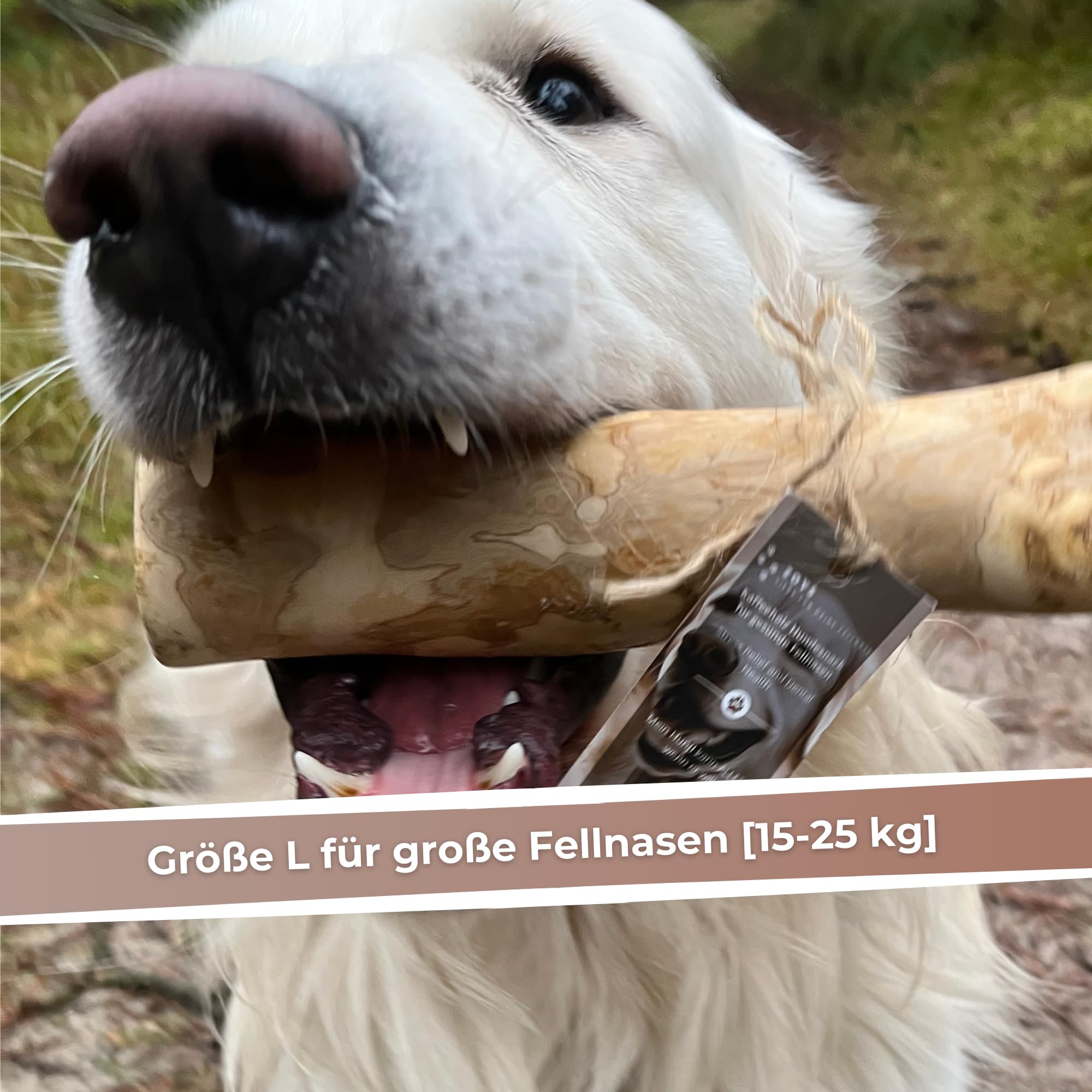 Zoys® Kaffeeholz für Hunde - Natürlicher Kauknochen für Hunde in 5 Größen - Kaustab für Zahnreinigung & Zahngesundheit & nachhaltige Beschäftigung - Hundezubehör langlebig & risikoarm (L, 3, stück)