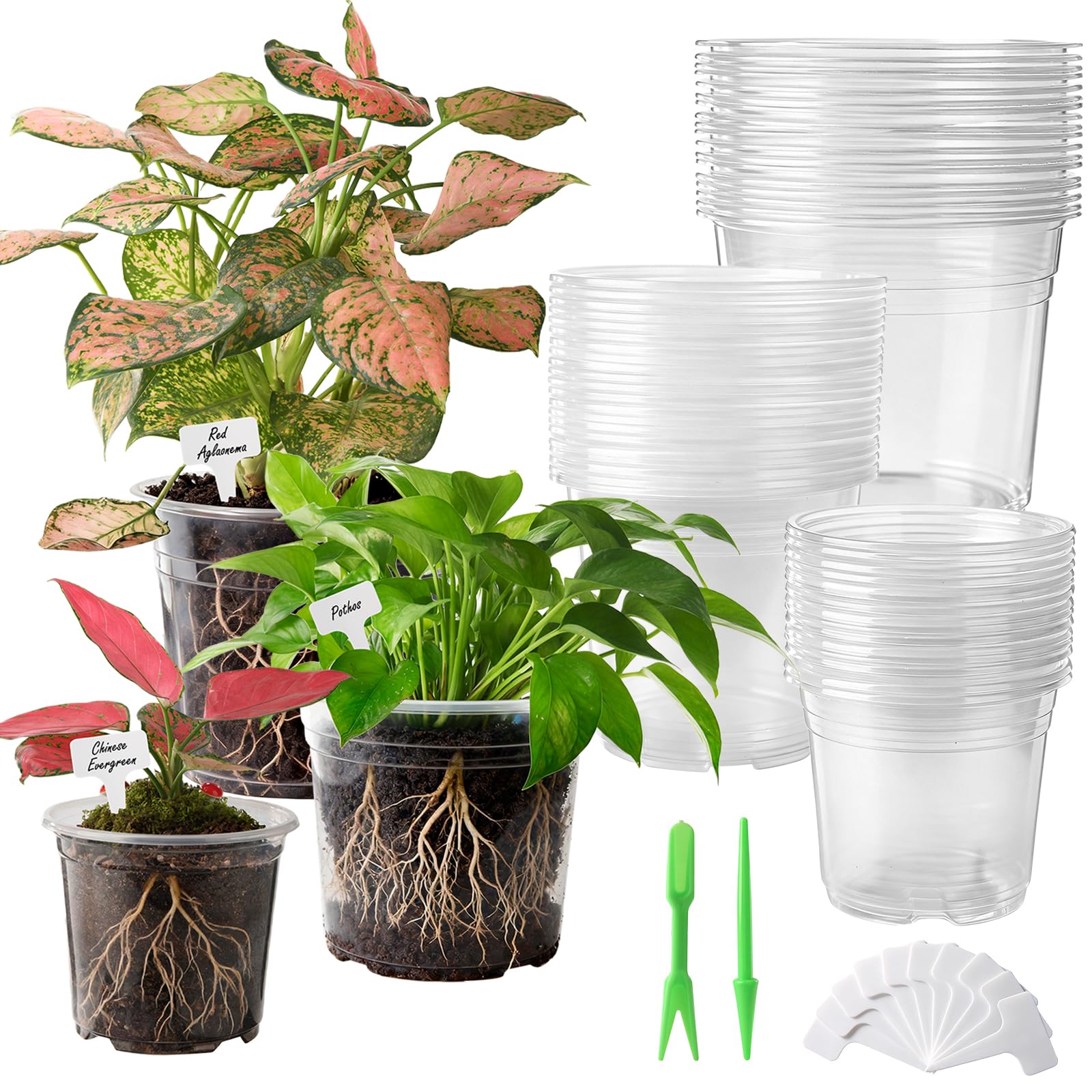 Huvai Clear Nursery Pots