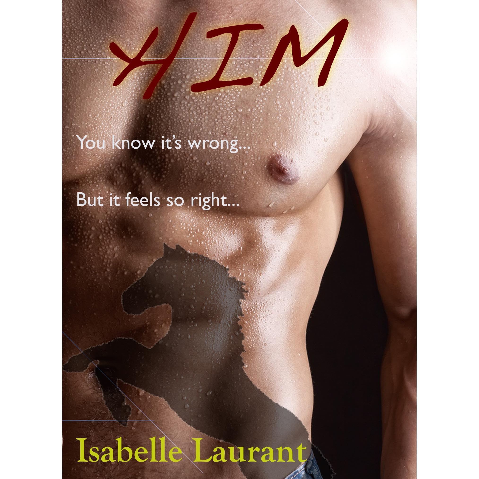 HIM (A Stepbrother Romance)