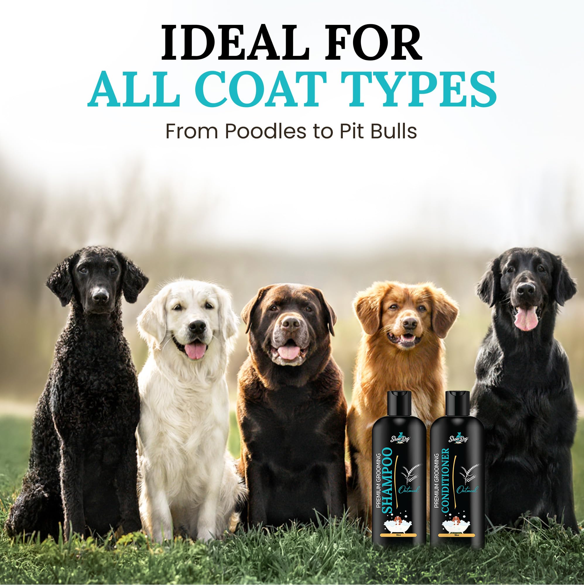 Best best dog shampoo for pitbulls with sensitive skin Discount