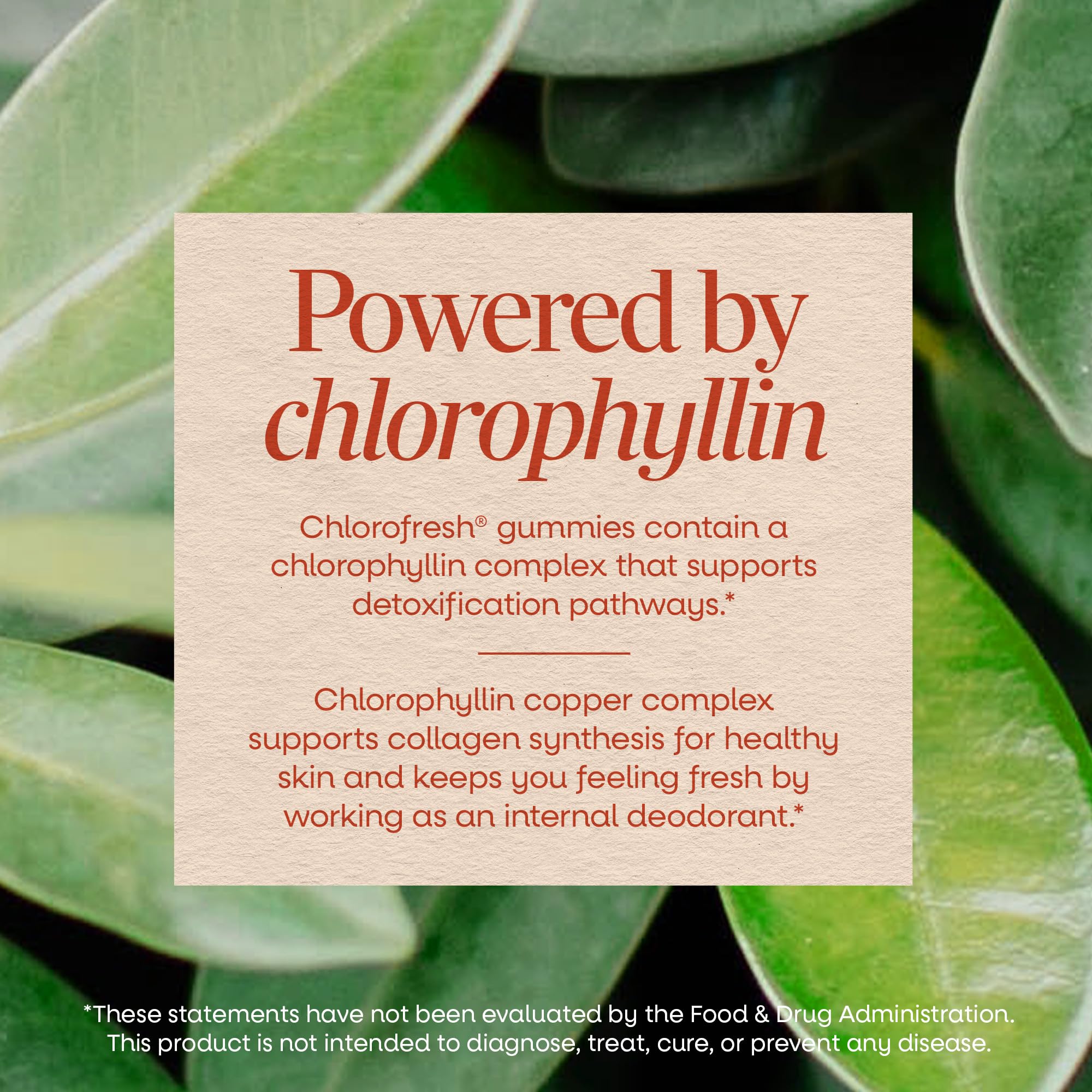 Nature's Way Chlorofresh Chlorophyll Gummies, Supports Healthy Skin and Body Detox*, Internal Deodorant*, Orchard Fruit Flavored, 60 Gummies — Amazon image 4