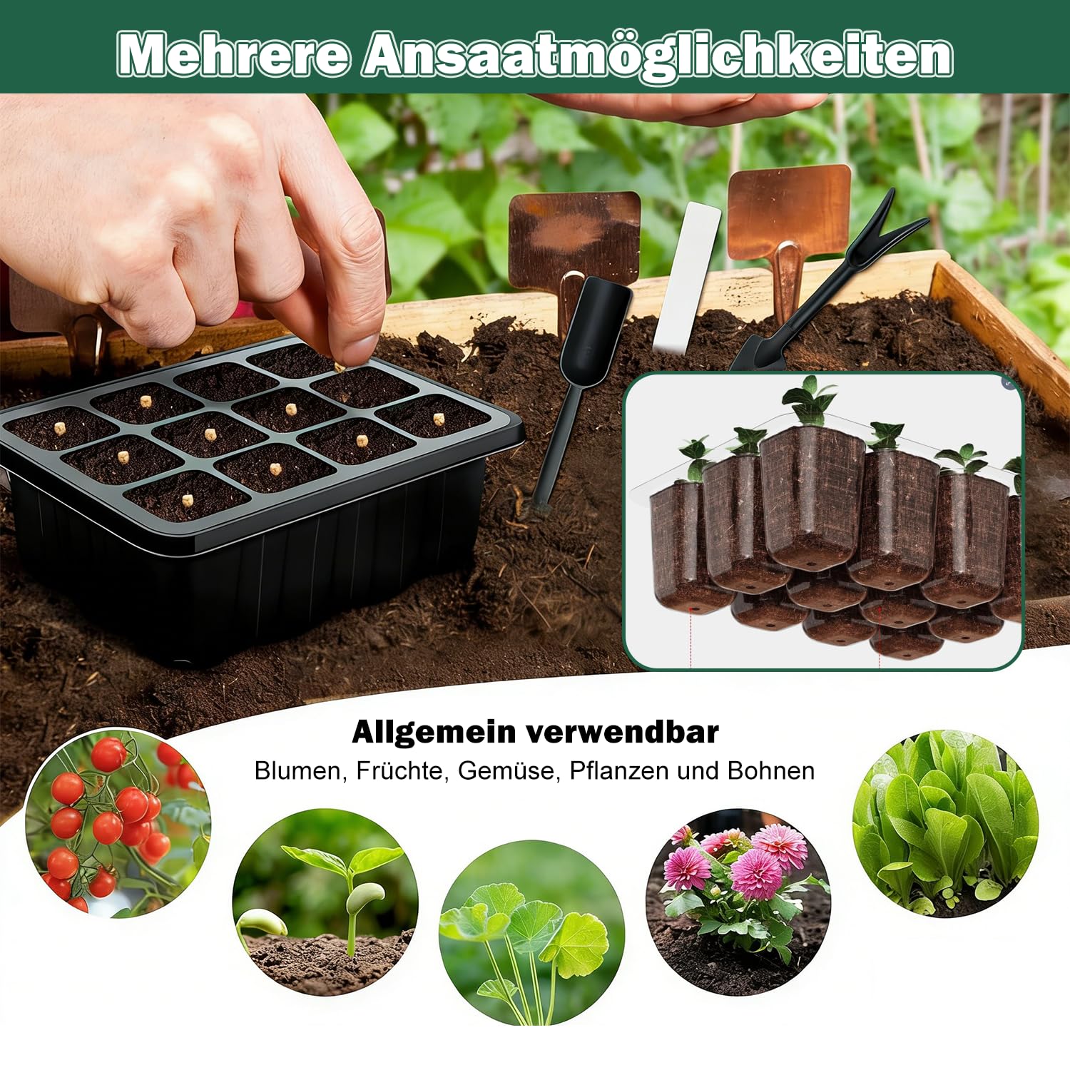 Generisch 6 Stück Mini Zimmergewächshaus Anzuchtkasten mit Pflanzenlampe | Mini Treibhaus Anzuchtkasten mit LED Dimmbare Anzuchtlampe Zur Keimung Von Sämlingen, Verdicken Tabletts Anzuchtschale