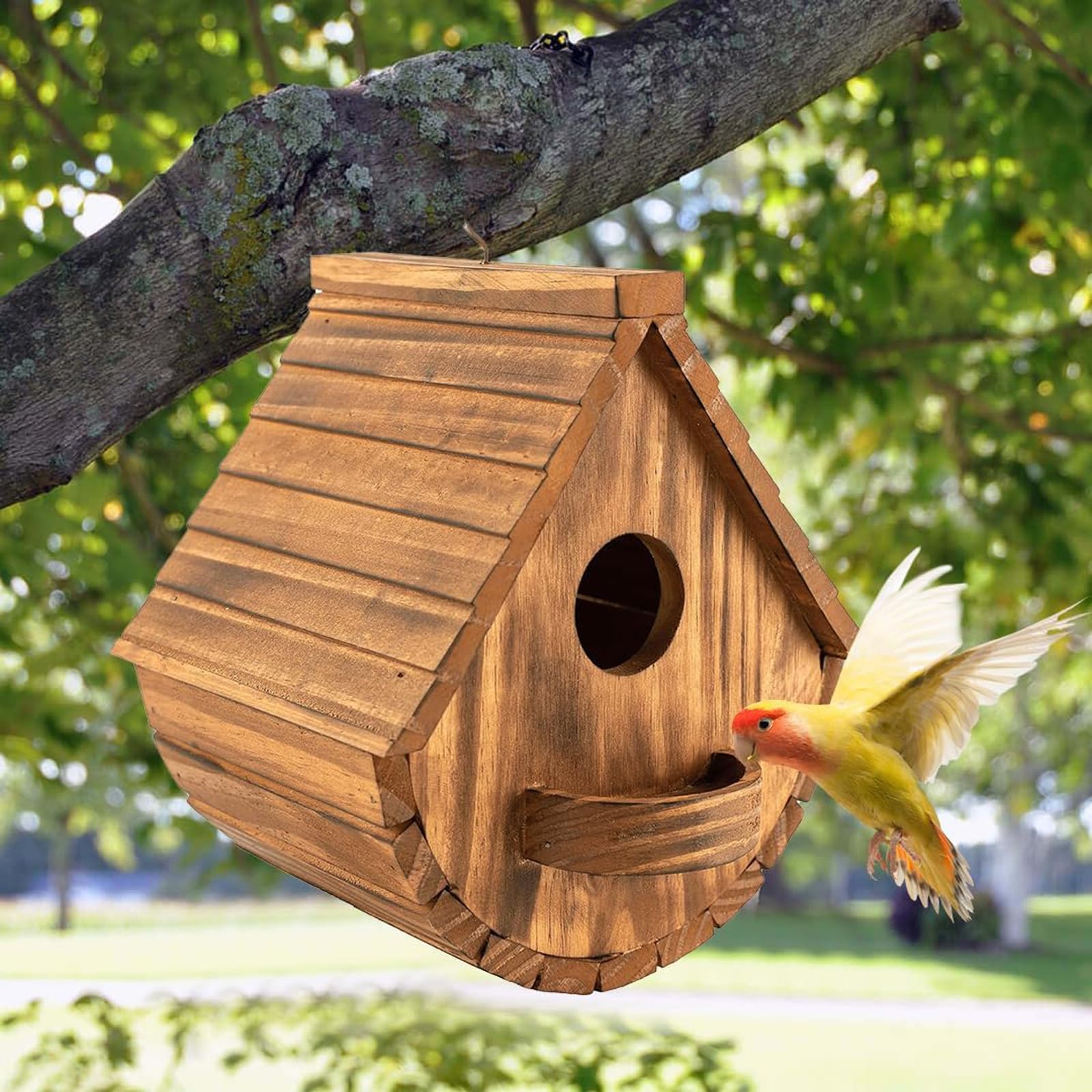 Casetta Legno Uccellini, Nido Ideale per Uccelli Selvatici, Casetta per Uccelli Selvatici da Esterno, Nido Uccellini da Esterno da Appendere, Resistente alle Intemperie e Robusta