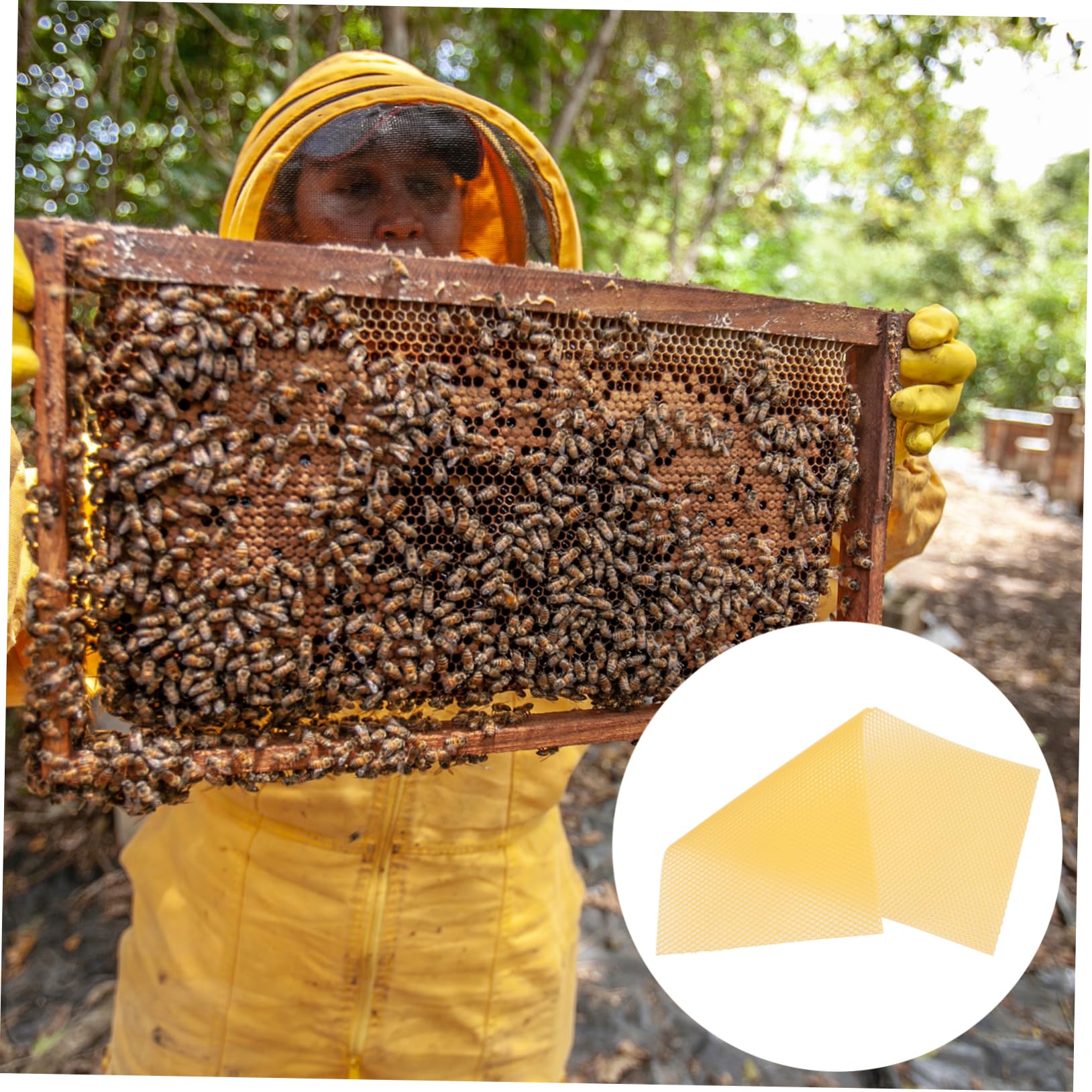 Stück Wabenfundament Gelb aus 30 für Bienenwachs Imkerei