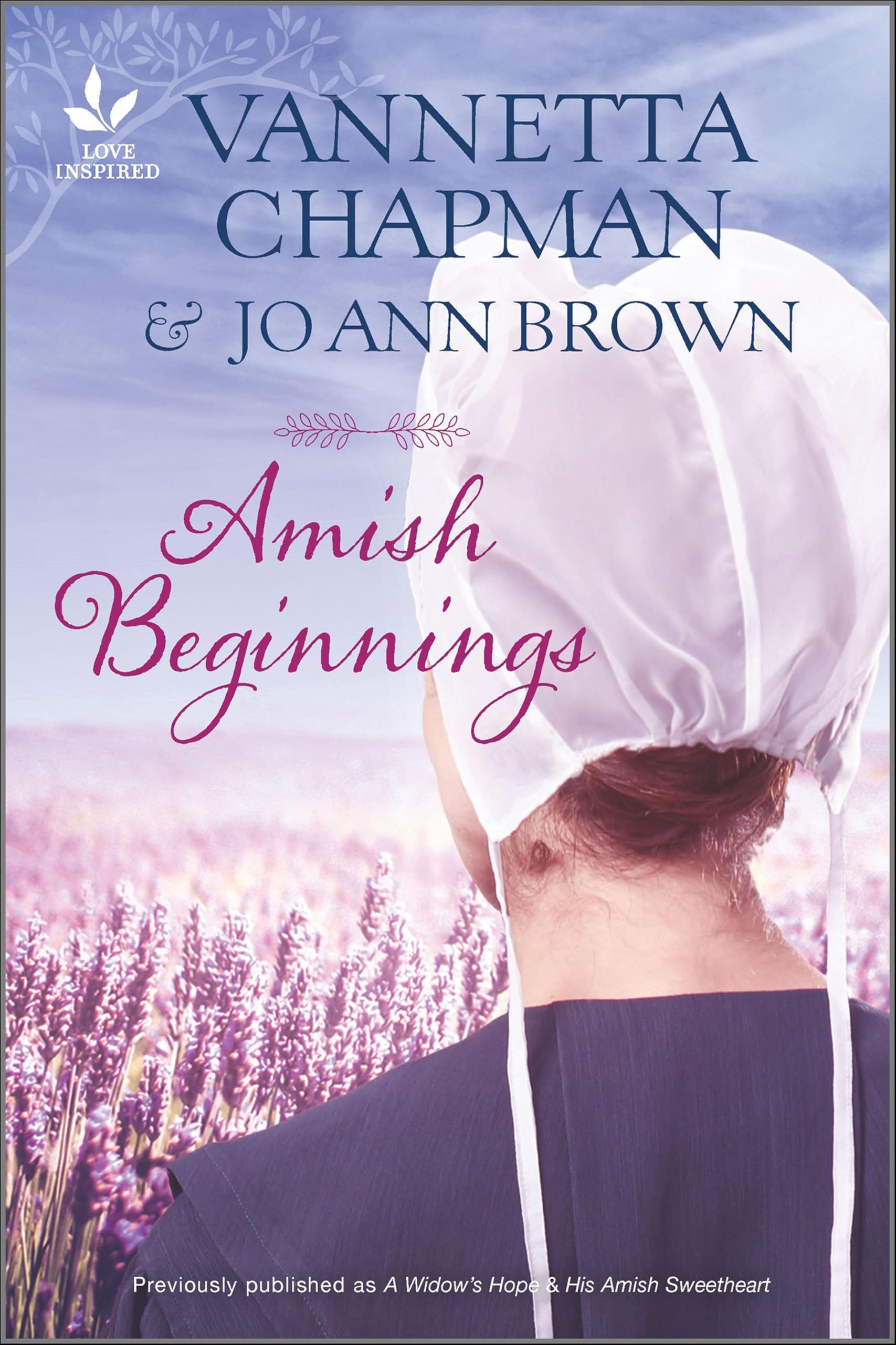 Buy Amish Beginnings — BookShops.in