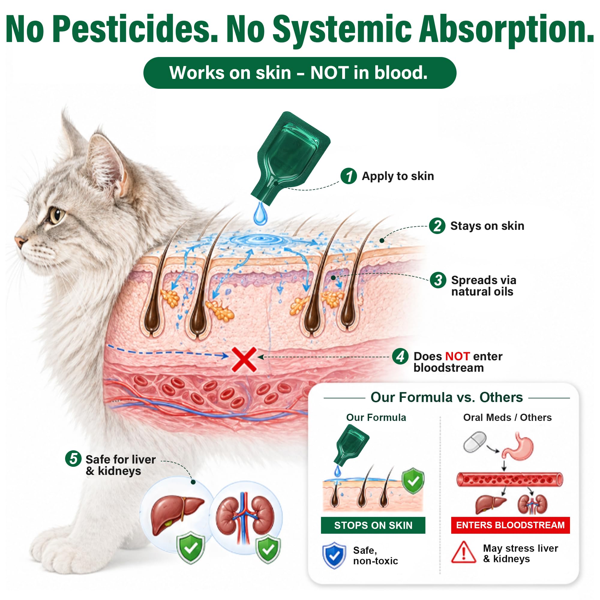 View 4