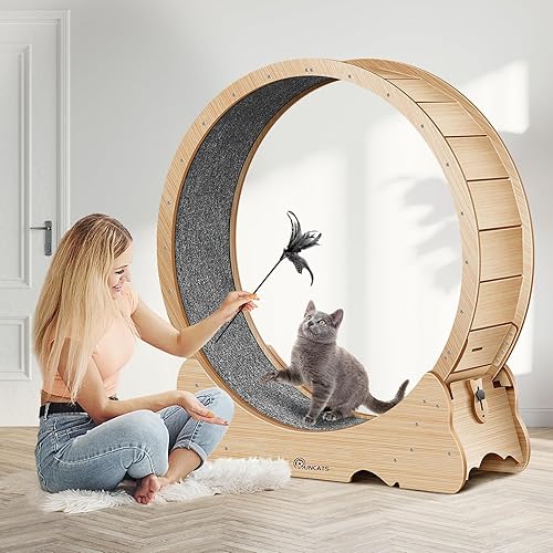 Miniatura 8 de Rueda de Ejercicios para Gatos, de 48 Pulgadas XL para Gatos Grandes, Correpasillos para Gatos