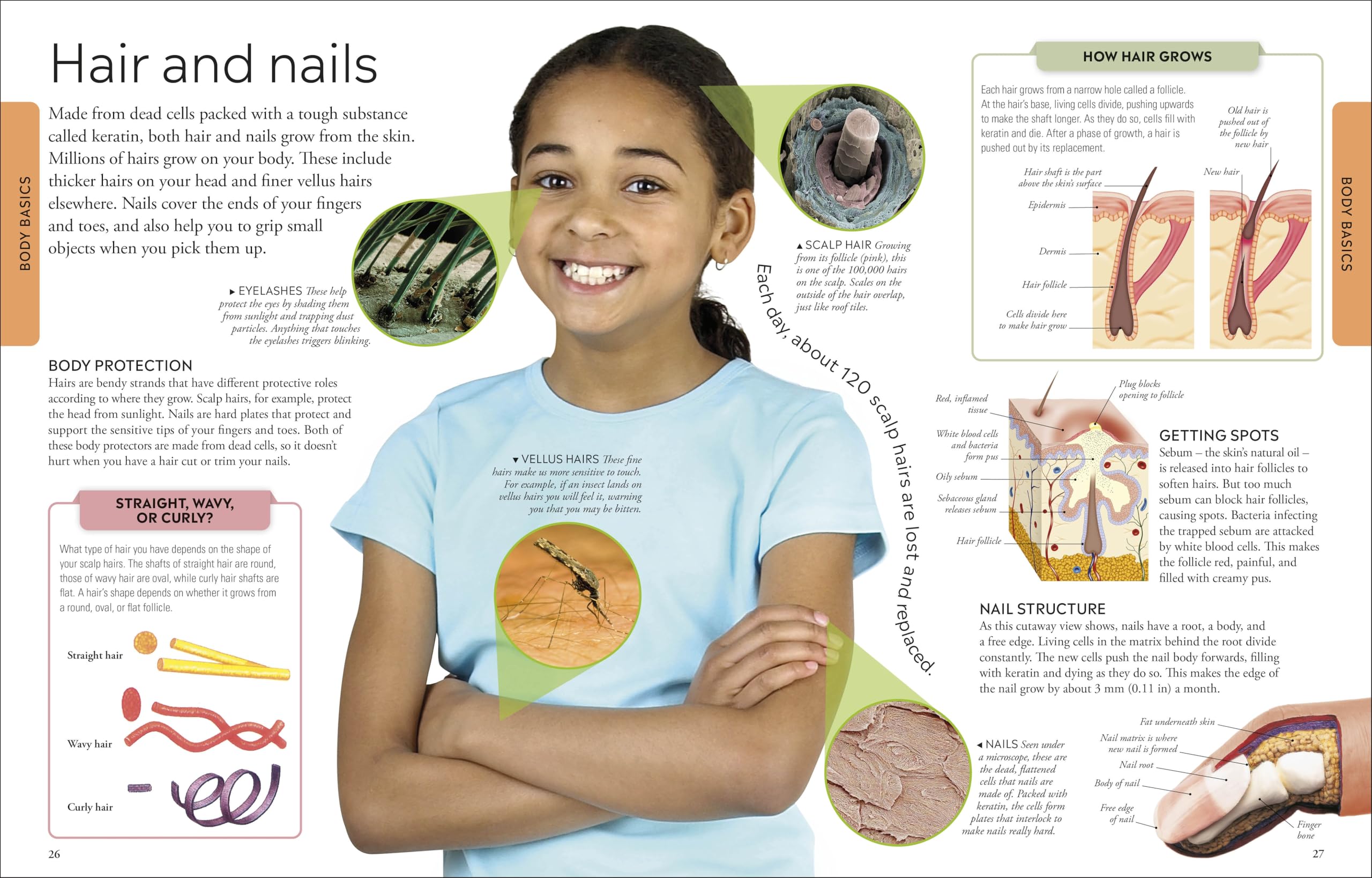 Human Body A Children's Encyclopedia