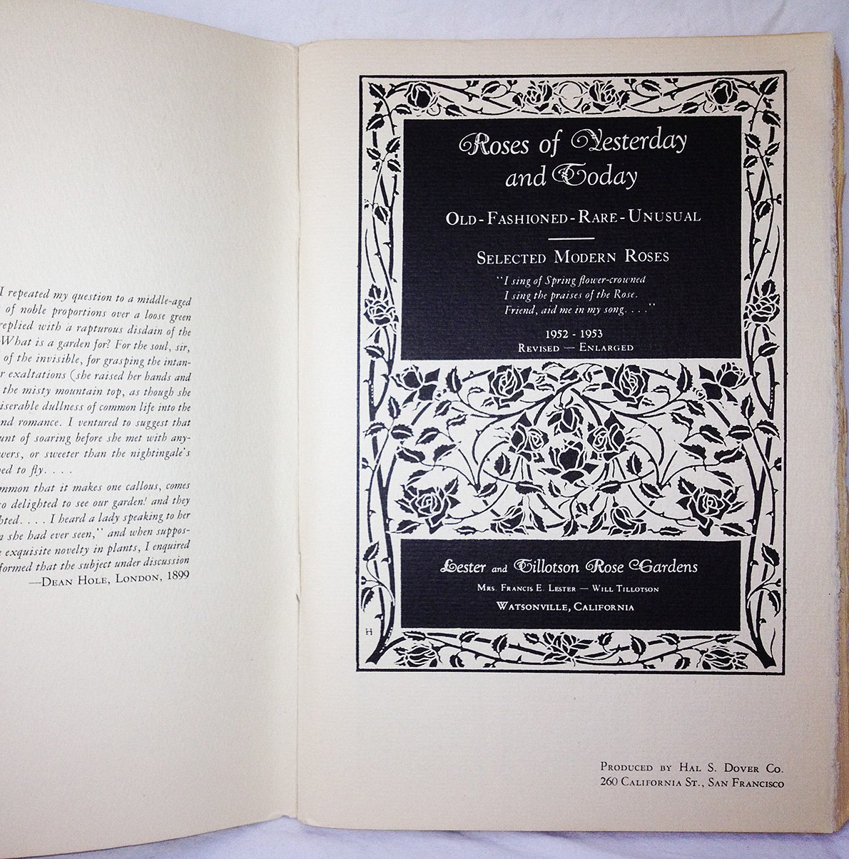 Roses of Yesterday Oldfashionrare and Unusual Select Modern Roses