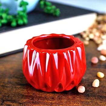 Amazon.com: Live Lucky Bamboo 2 Stalk Arrangement in Round