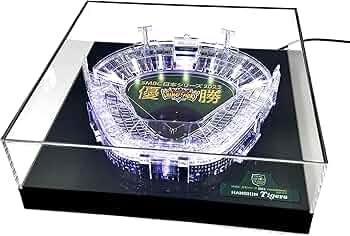 81z4F6MNo0L._AC_UF350,