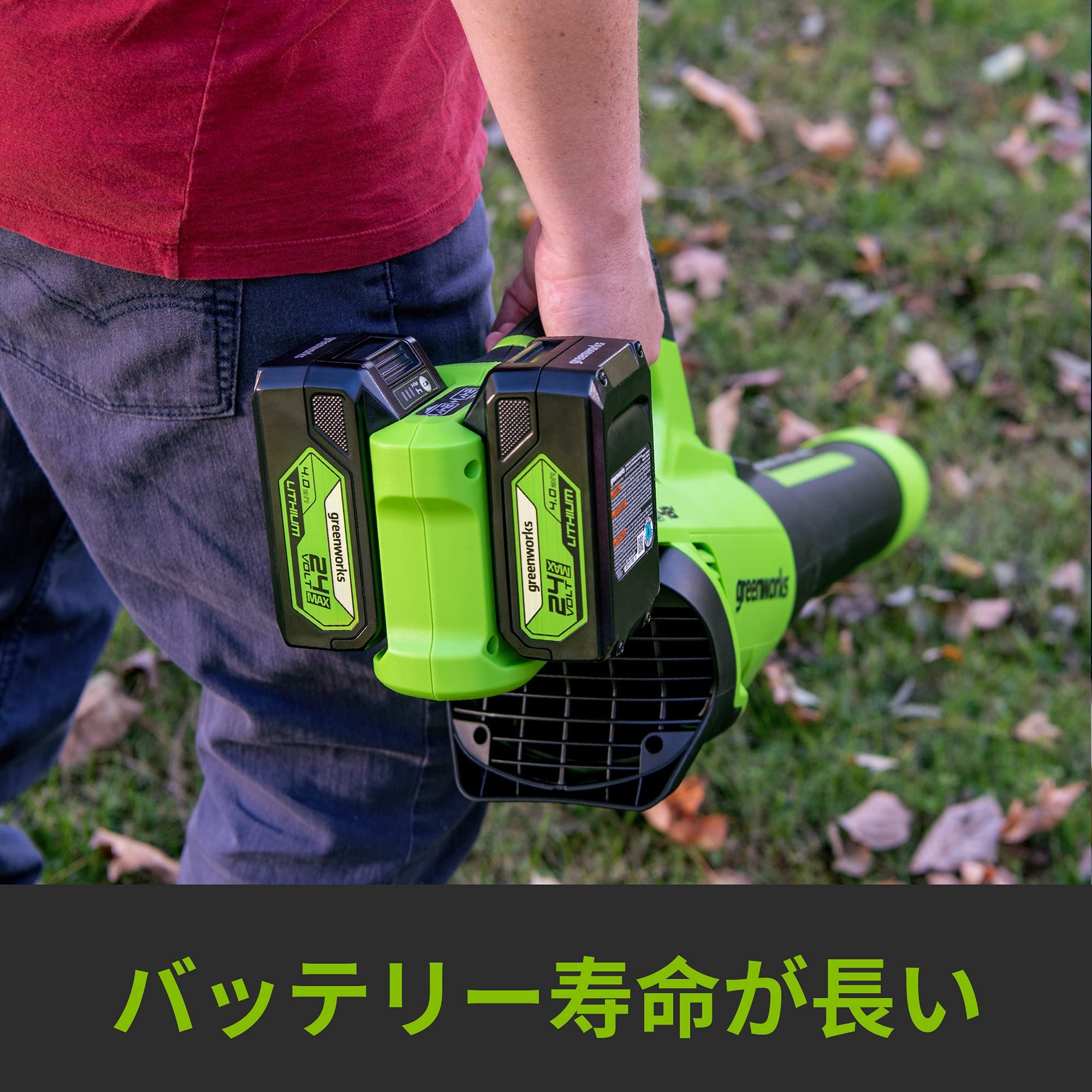 Amazon.co.jp: Greenworks: バッテリー & 充電器