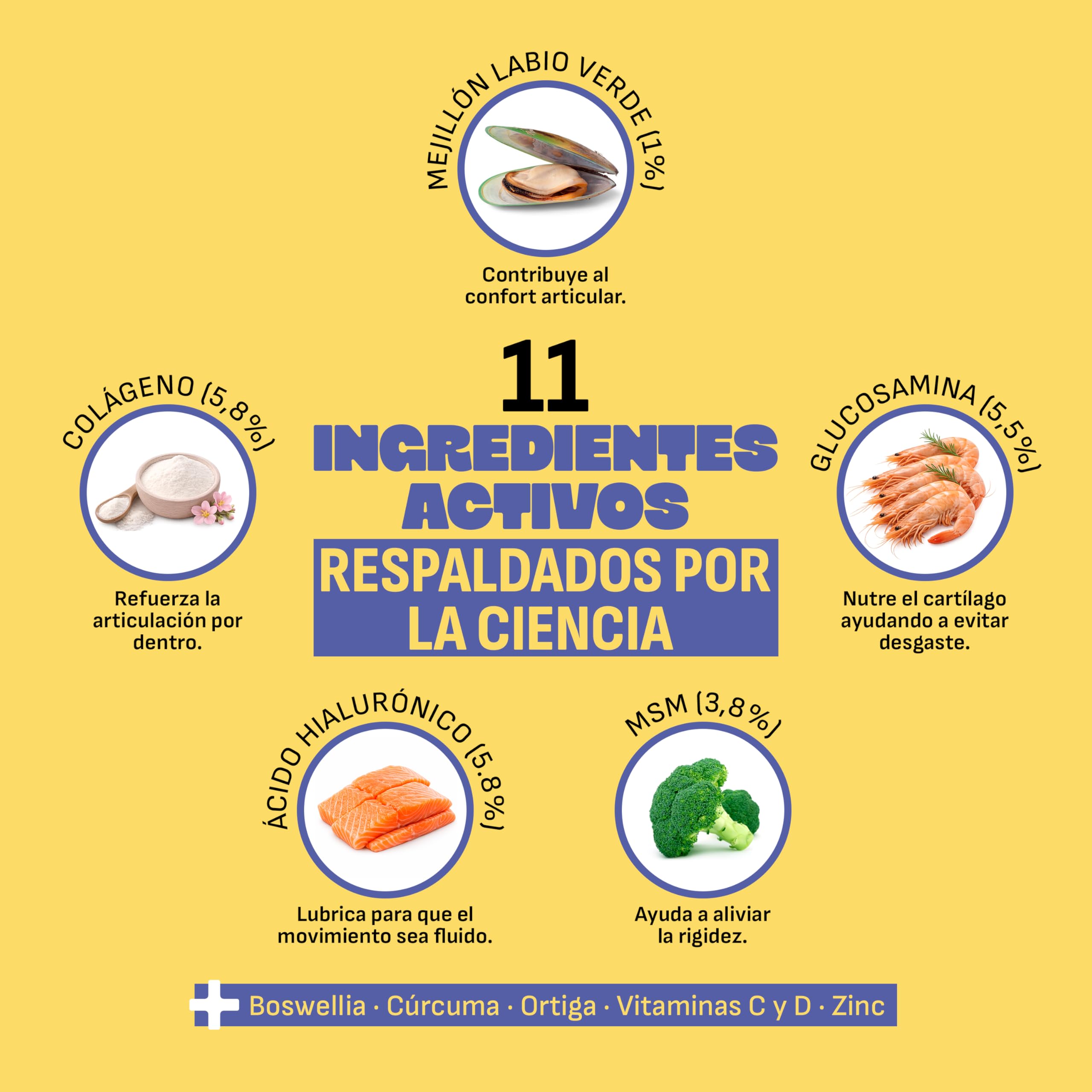 MYLO Condroprotector Perros Articulaciones Perro, Movilidad y Confort. Glucosamina, MSM y Colágeno para Fortalecer Cartílago. Mejillón de Labio Verde Antiinflamatorio Perros Natural. 60 Uds