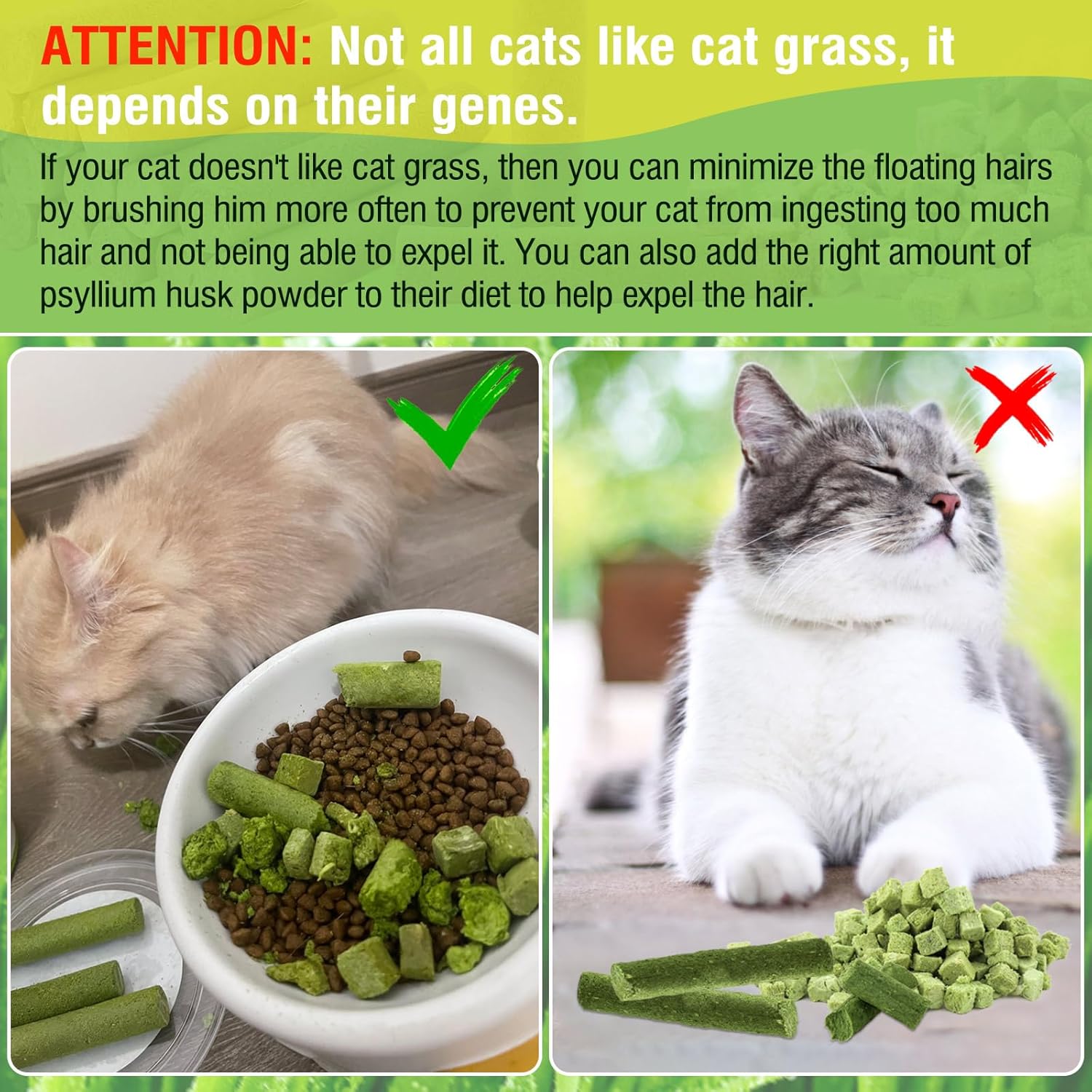 225g Cat Grass Teething Stick, Delicious Cat Treat Snack Edible Cat Chew Toy for Teeth Cleaning and Hairball Removal in Cats