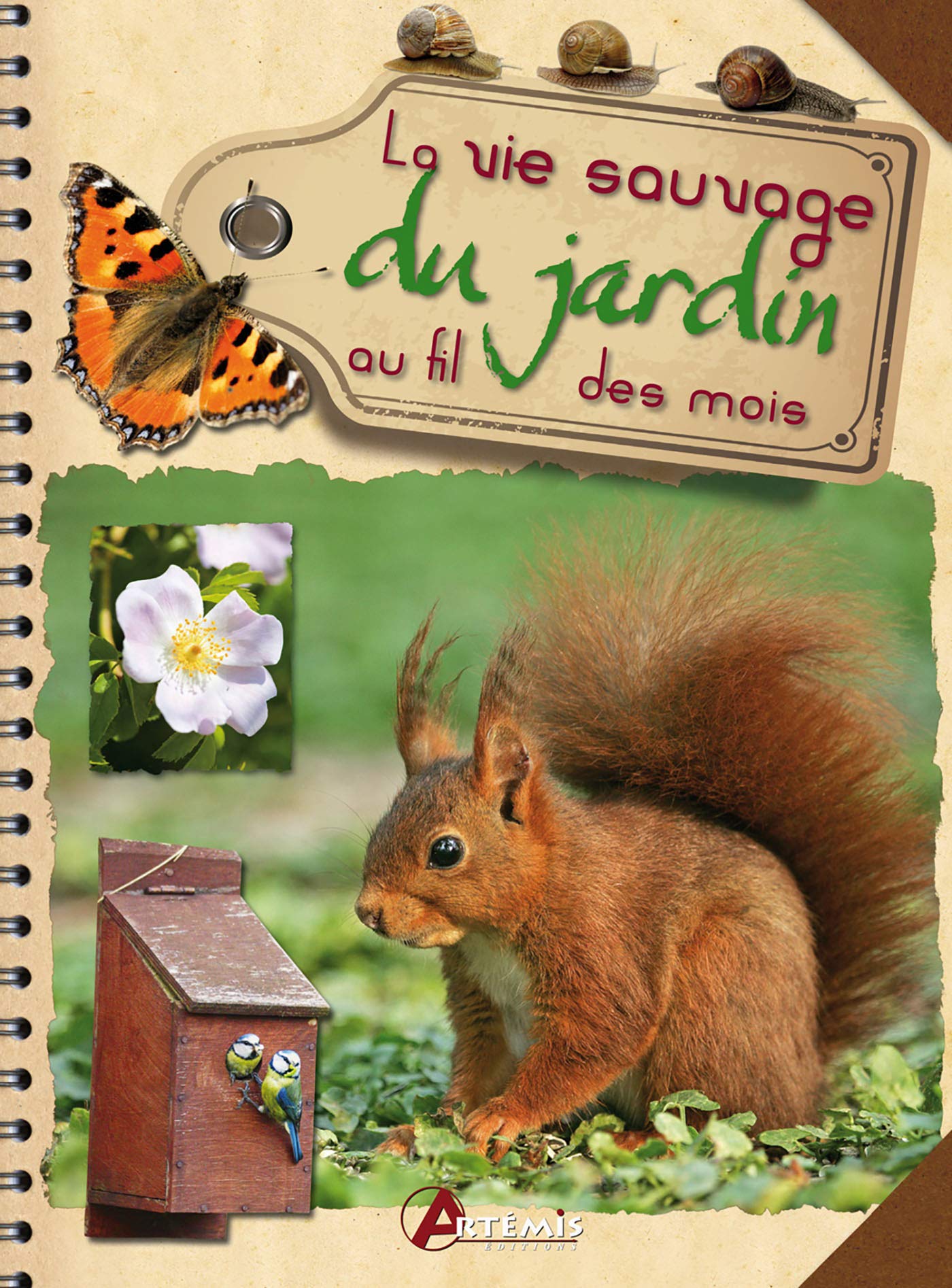 La vie sauvage du jardin au fil des saisons: 0
