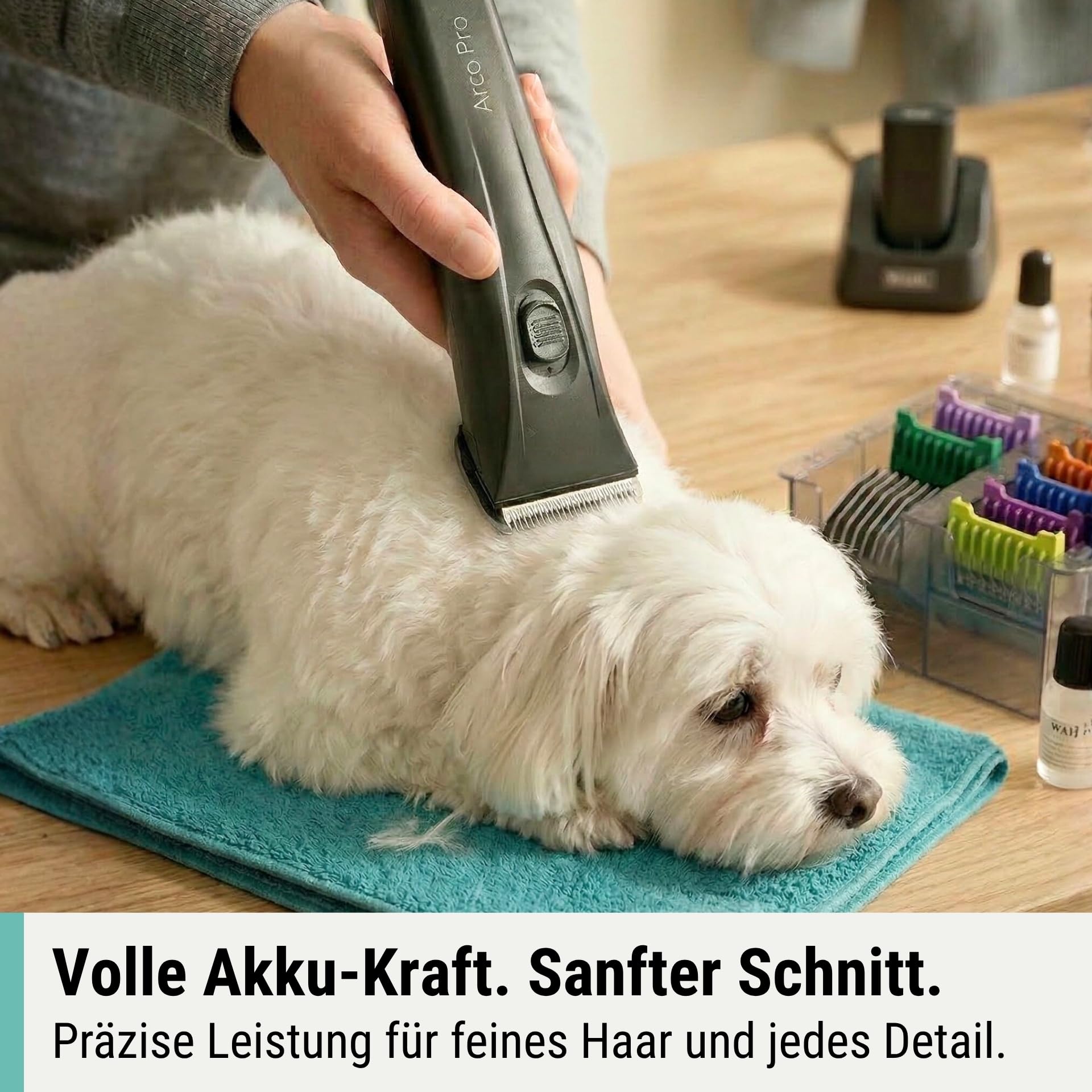 Agrarzone Wahl Arco Pro Hundeschermaschine 2 Akkus Schermaschine Hund Moser | Aufsteckkamm Set, Moser, leistungsstark, Rasierer, Trimmer, Katzen
