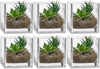 Amazon Com Square Vases