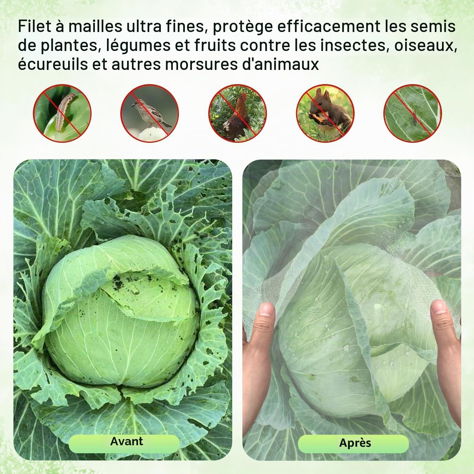 Filet Anti Insecte Potager 3m x 4m Ultra Fine Maille Protection Jardin
