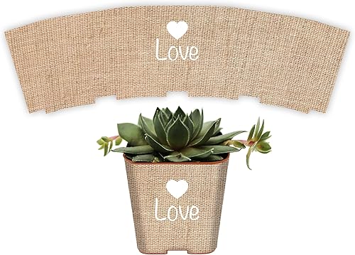 Miniatura 1 de Envolturas suculentas para recuerdos de boda para macetas de 2 pulgadas, recuerdos de baby shower, calcomanías para despegar y pegar, no incluye