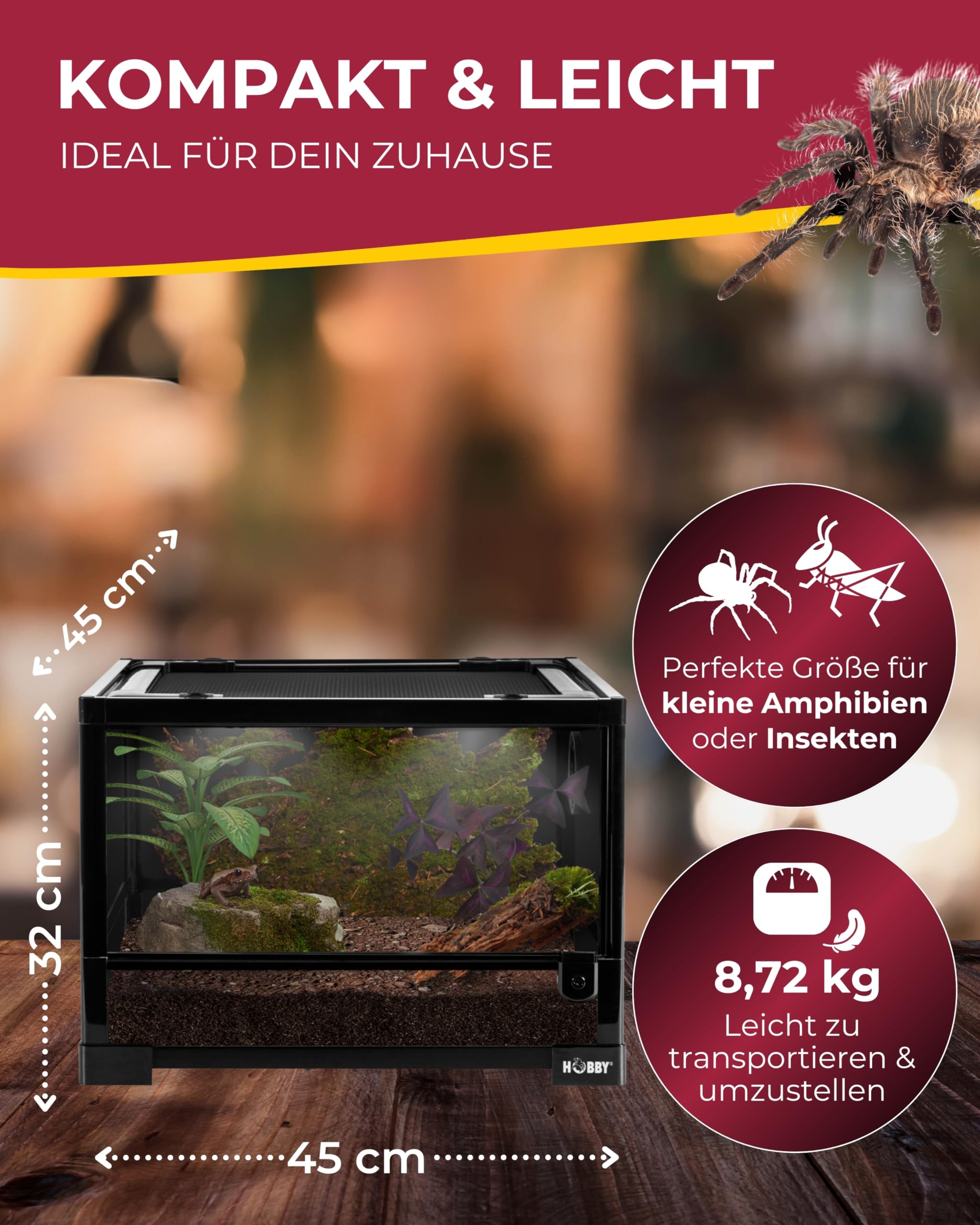 Hobby Terraristik Fix und Easy Nano 3 I 45 x 45 x 32 cm I Geeignet für die Haltung Kleiner Amphibien und Insekten I Mit wasserdichtem Boden und Schwingtüren I Ideal für Anfänger und Profis I Schwarz