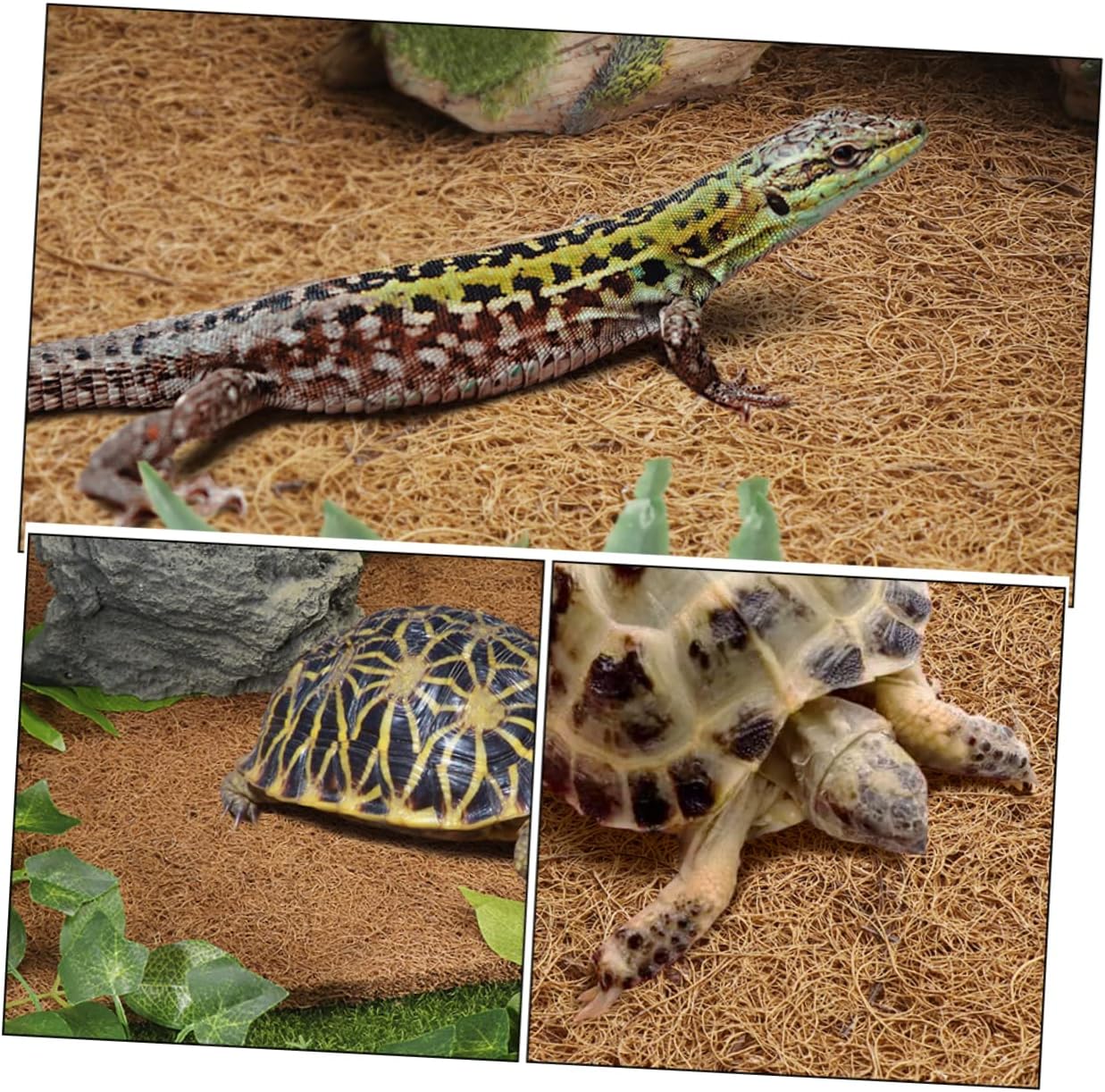 COLLBATH Reptile Coconut Fiber Bedding Mat for Terrariums Soft and Durable Substrate for Tortoise and Snake Tanks Easy to Clean Natural Coir Carpet