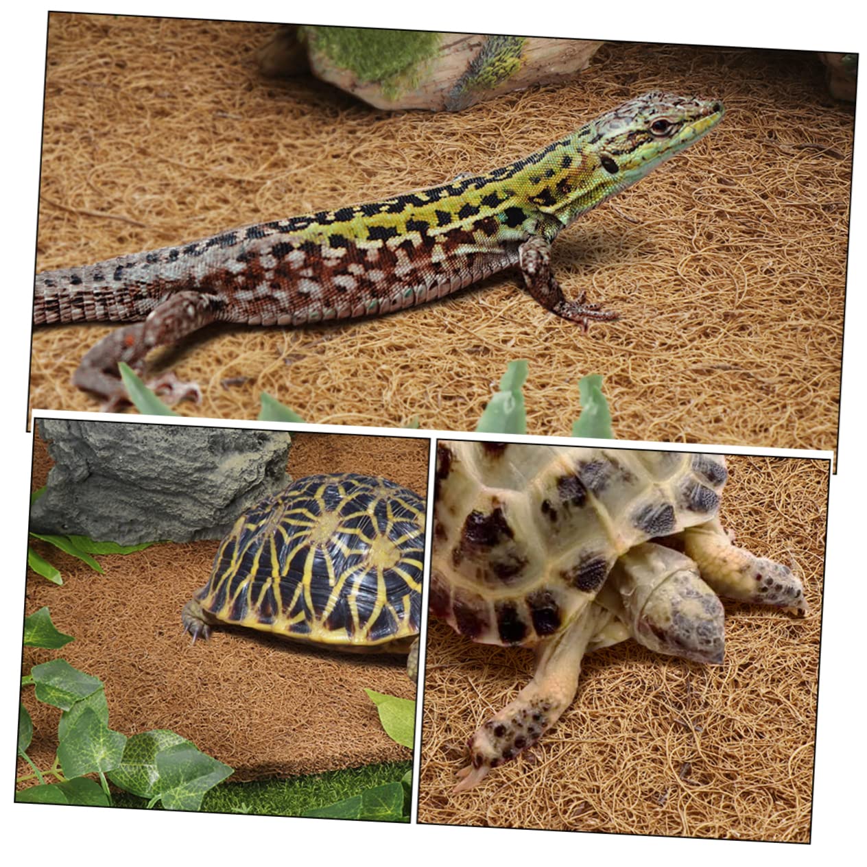 POPETPOP Alfombra en Contenedores Transparentes para Terrario de Reptiles de Fibra Natural Estera para Tortugas y Reptiles y Fácil Limpieza Recogida de Desechos