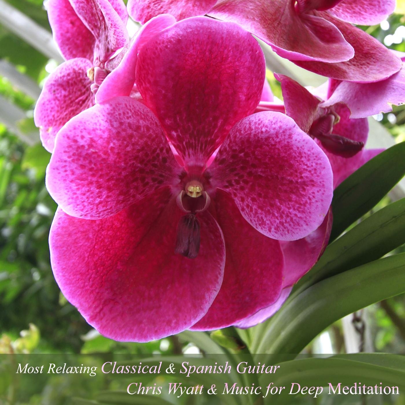 Music for Deep Meditation & Chris Wyton