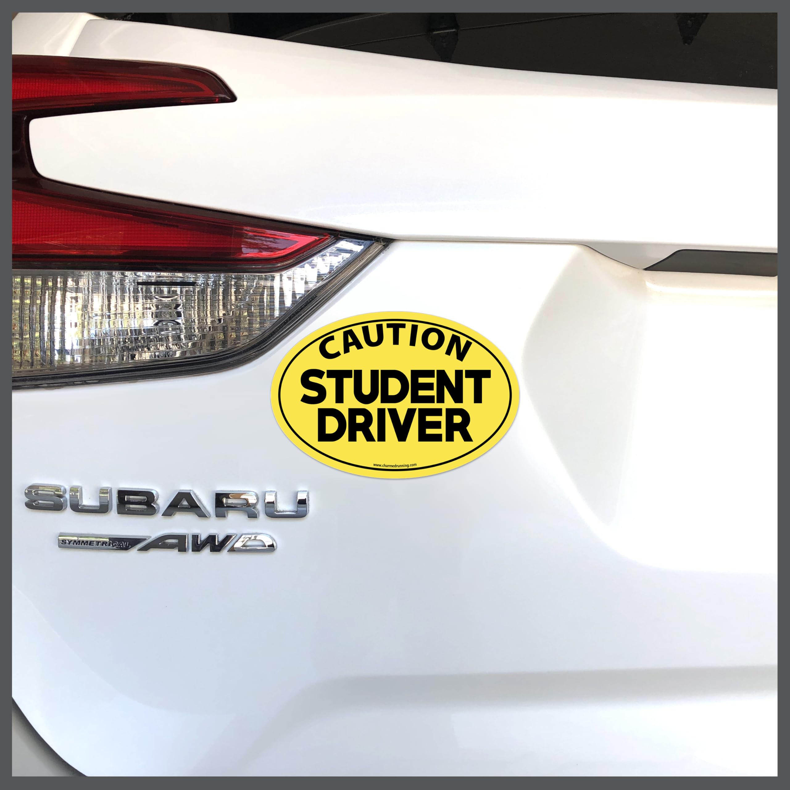 Charmed Running Brand Patience Please Caution Student Driver Driver's Education New Driver in White or Yellow Car Magnet (Caution Student Driver - Yellow)