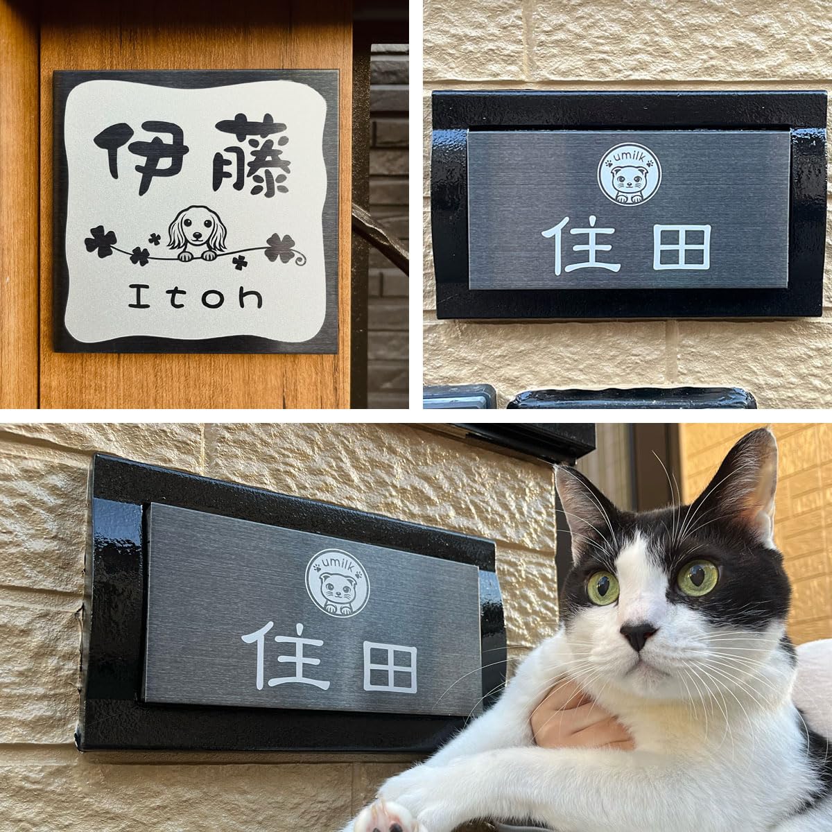 Amazon.co.jp: 表札 ブラックステンレス かわいい犬猫デザイン 正方形