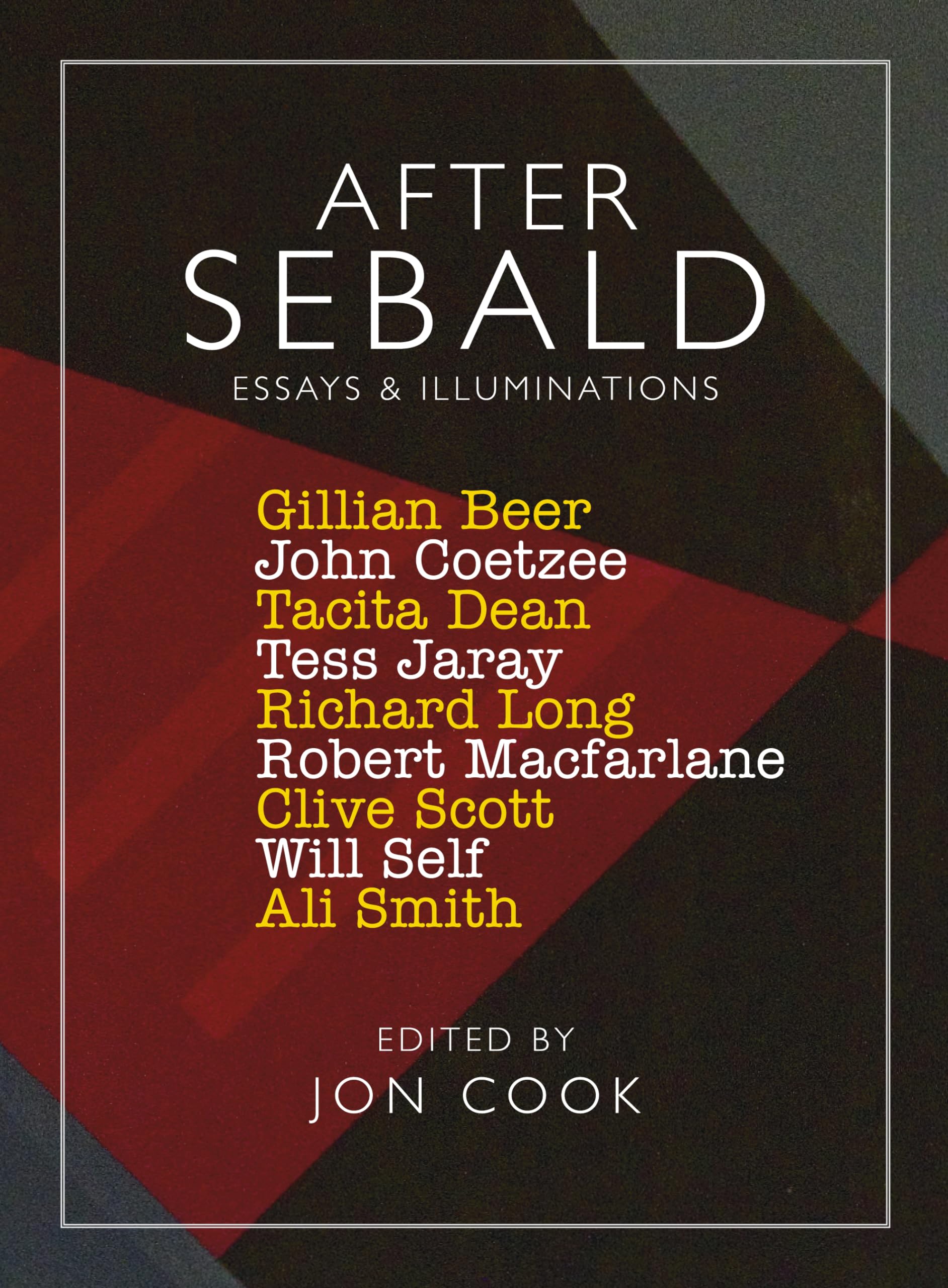 After Sebald : Essays and Illuminations