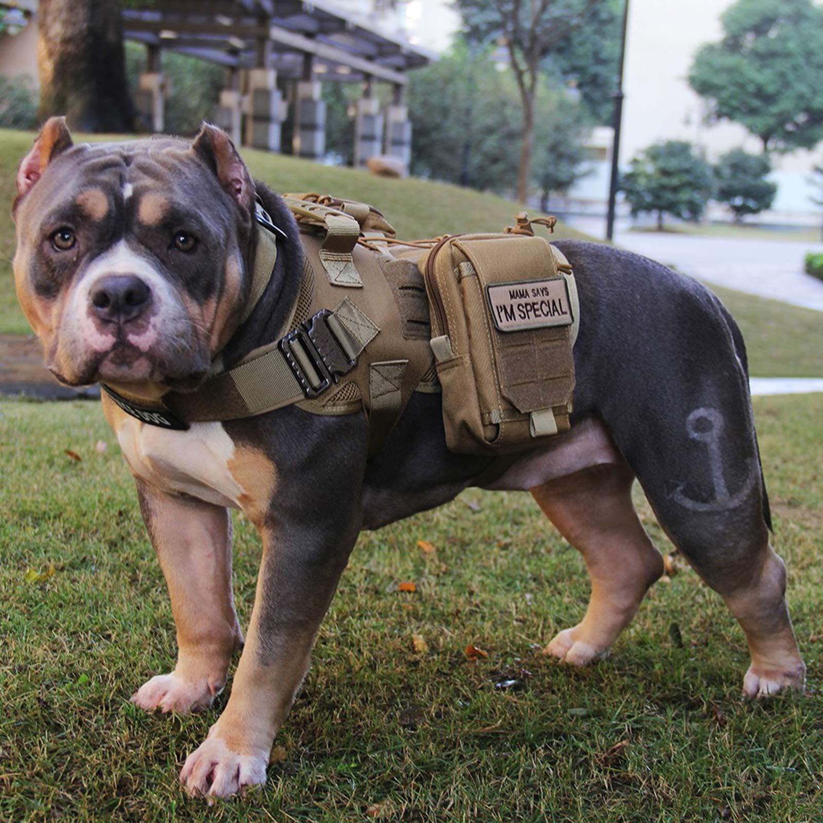 Arnés Perros Chaleco Táctico, Entrenamiento De Trabajo Molle Chaleco,MOLLE Compacta Arnés Nailon Bolsas Chaleco Abrigo para Mascota Senderismo, Caminar con Asa Y 2 Bolsos Desmontables,Marrón,L