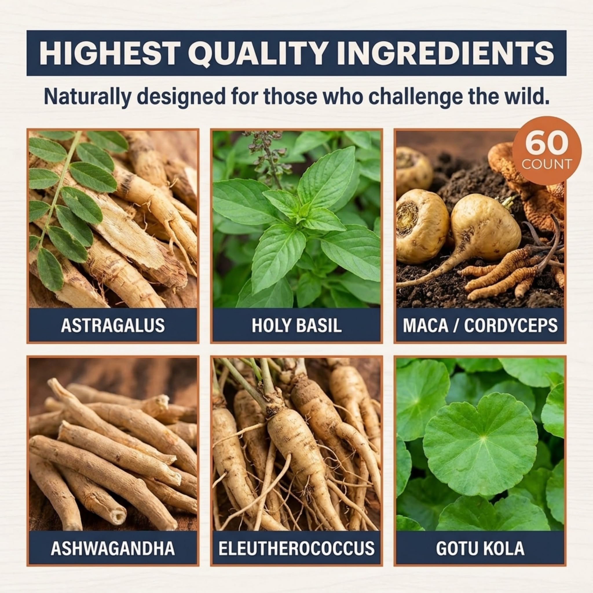 TruWild Adaptogen Blend with Cordyceps Maca Ashwagandha - Full Spectrum Mushroom Blend for Daily Support and Function, All Natural Formula with 7 Key Ingredients, 60 Capsules — Amazon image 2