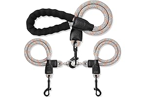 Double Dog Leash: Unparalleled Convenience for Two Dogs