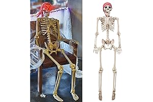 5ft Pose-N-Stay Life Size Skeleton, Human Bones Full Body Realistic with Posable...